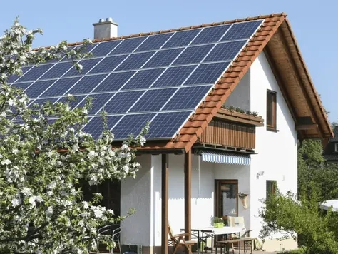 cultivo _ 17271419286 41